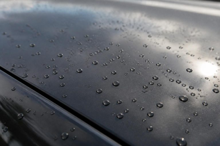 Paint Protection